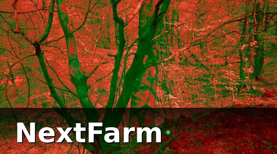 NextFarm — 3. Cảnh báo sâu bệnh và AI nhận diện