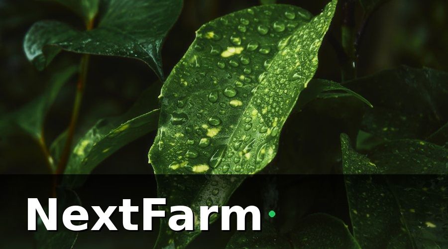 NextFarm — 2. Theo dõi sâu bệnh được không?