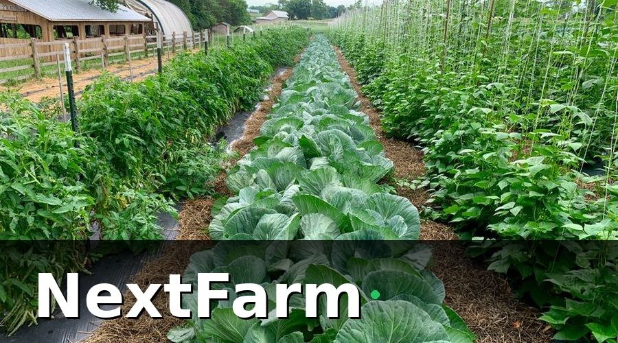 NextFarm — 3. Quản lý được từng lô, từng trụ tiêu không?