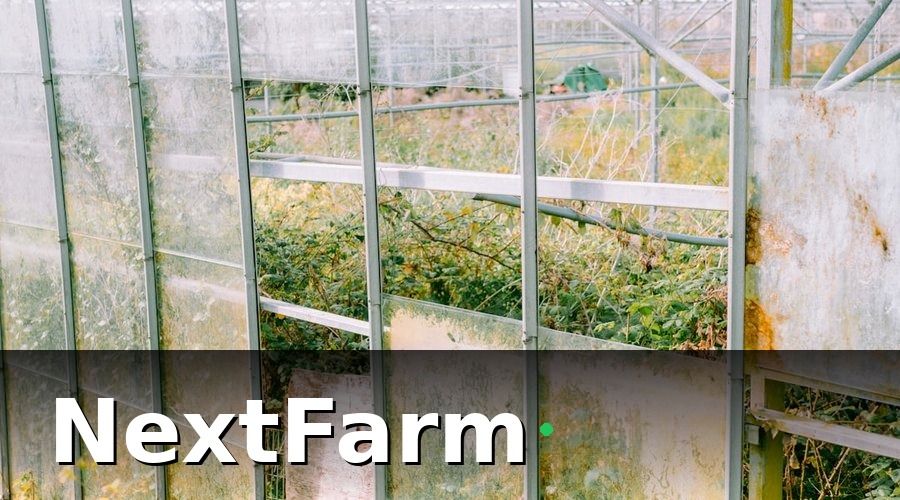 NextFarm — Smart Farming Là Gì và Tại Sao Cần Ứng Dụng Ngay?