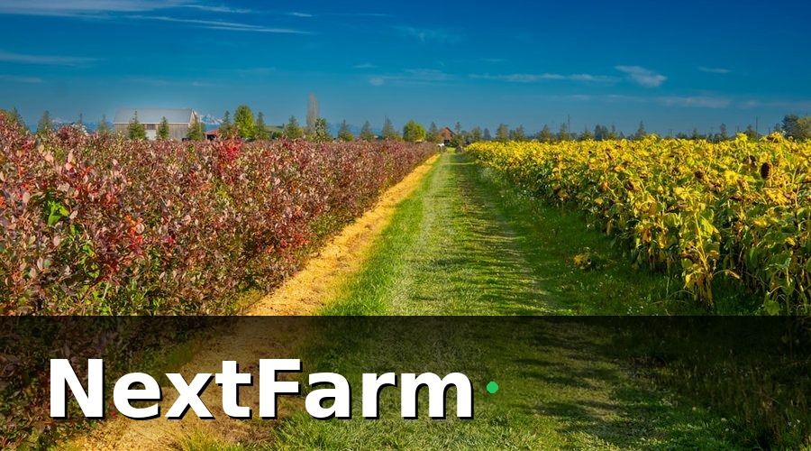NextFarm — Tổng Kết Lộ Trình 6 Tháng