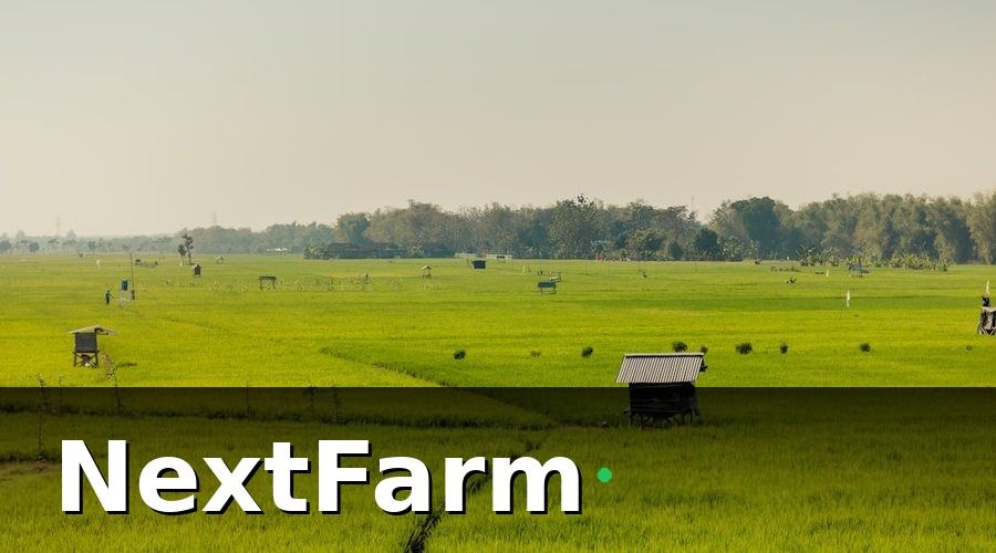 NextFarm — Micro-climate Monitoring: Tại Sao Một Trạm Đo Không Đủ?