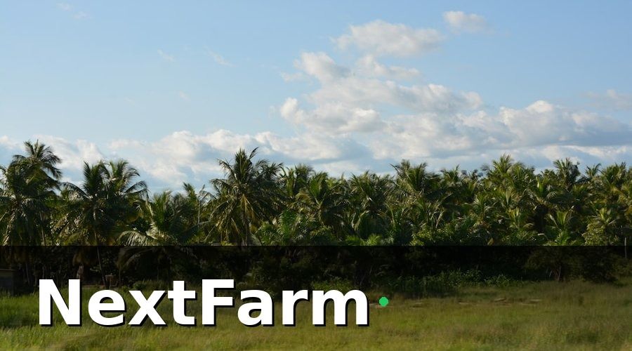 NextFarm — Lịch Canh Tác Theo Mùa Vụ ĐBSCL — Từng Nhóm Cây Trồng
