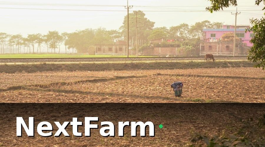 NextFarm — Tại Sao Chi Phí Thuốc Bảo Vệ Thực Vật Luôn Cao Hơn Cần Thiết?