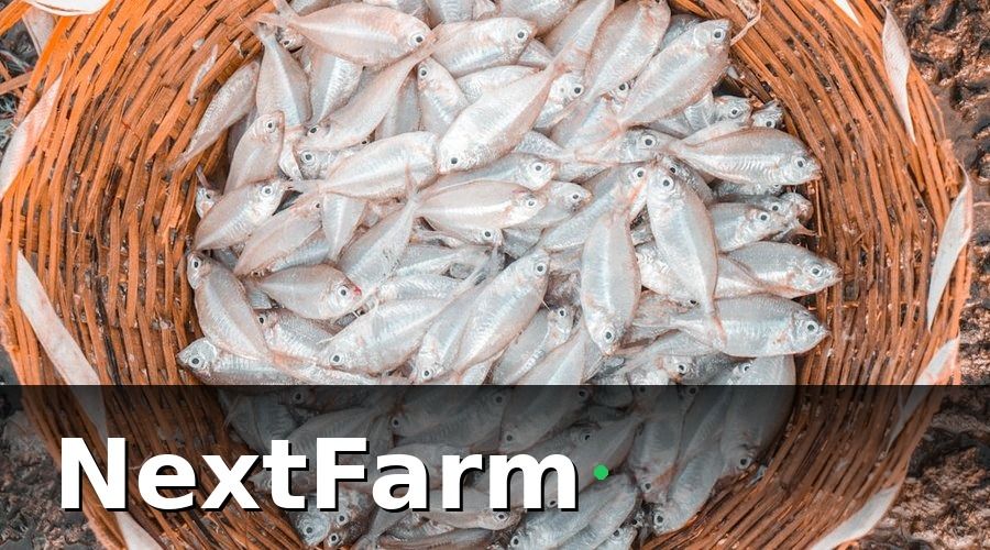 NextFarm — Kết quả sau 2 vụ triển khai