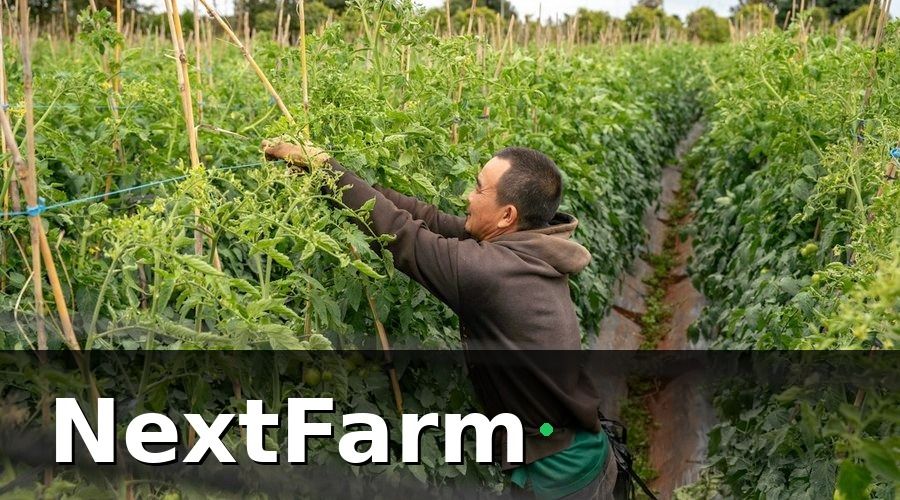 NextFarm — Thách thức: minh bạch từ ruộng đến bàn ăn