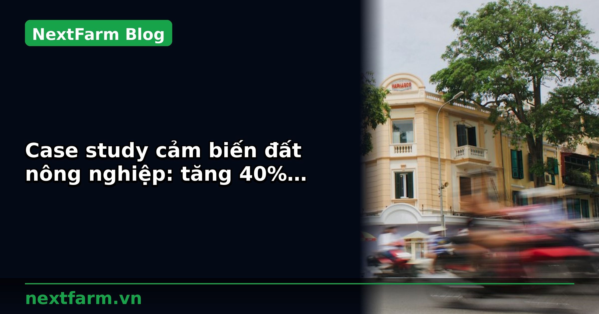 Case study cảm biến đất nông nghiệp: tăng 40% năng suất với công nghệ | NextFarm