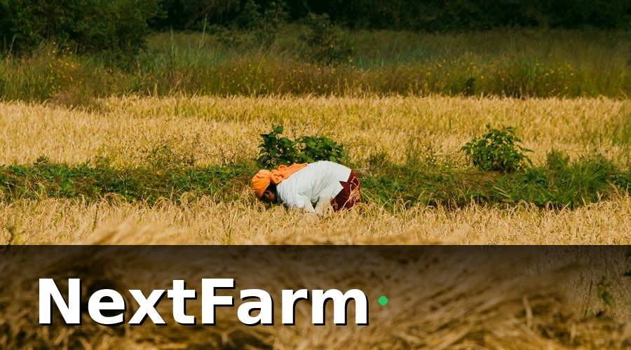 NextFarm — Kết quả sau 6 tháng triển khai