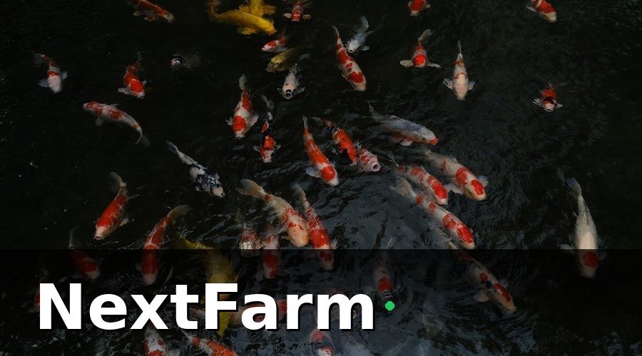 NextFarm — Bức tranh trước khi triển khai: