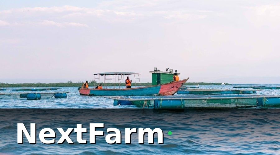 NextFarm — Lộ trình triển khai 4 giai đoạn