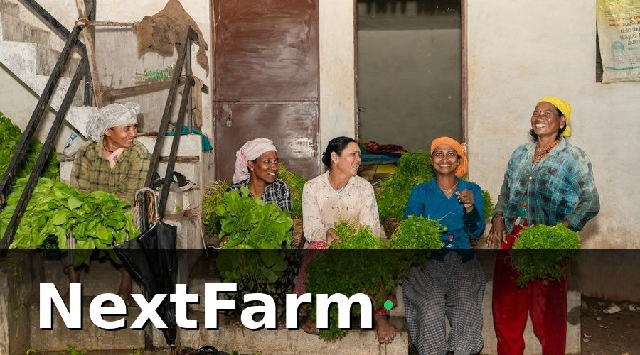 NextFarm — Kết quả sau 6 tháng triển khai
