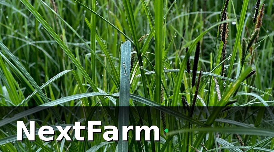 NextFarm — Giải pháp cảm biến đất nông nghiệp của NextFarm