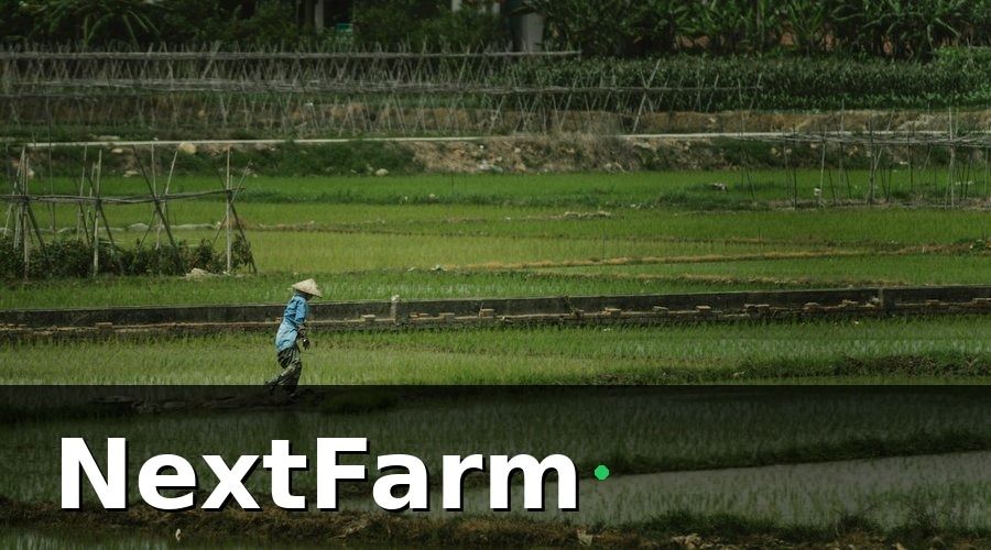 NextFarm — Bối cảnh doanh nghiệp trước khi chuyển đổi số