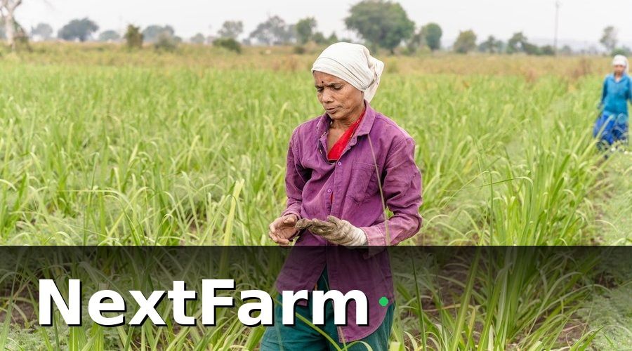 NextFarm — Kết quả sau 9 tháng triển khai