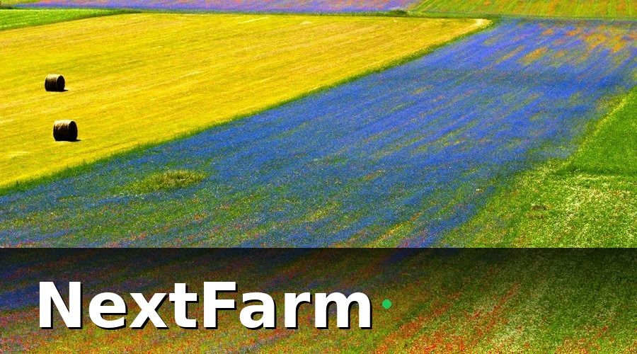 NextFarm — Giai Đoạn 1: Lập Bản Đồ Mối Nguy Theo Từng Điểm