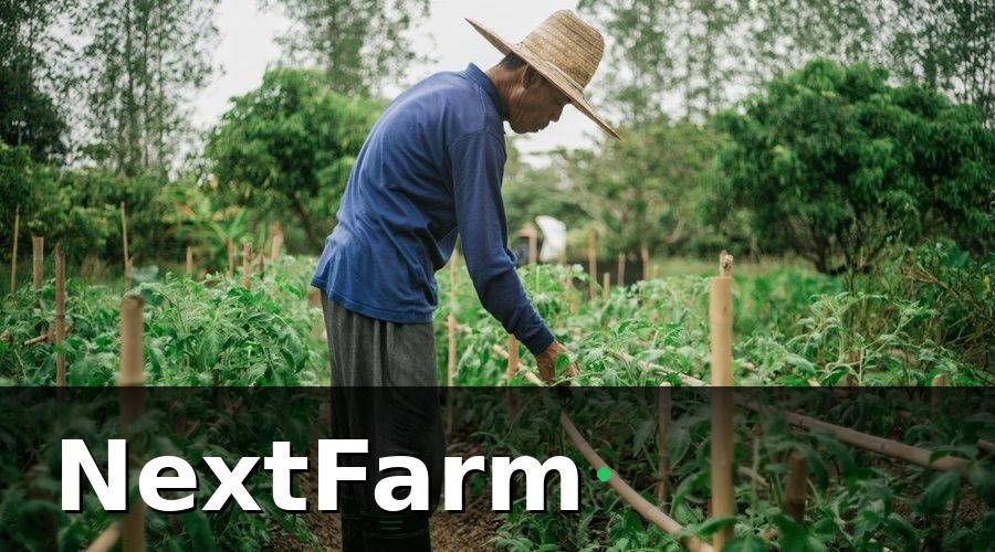 NextFarm — Bối cảnh và thách thức