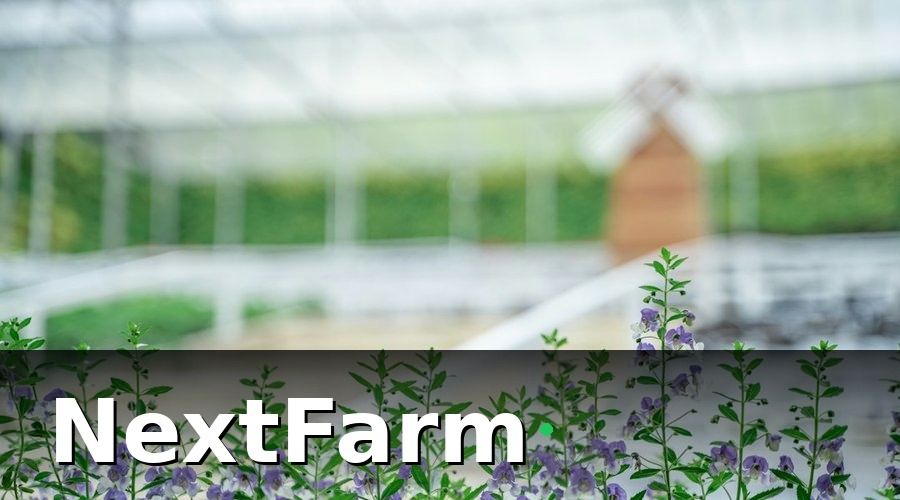 NextFarm — Nhu cầu thực tế trước khi triển khai