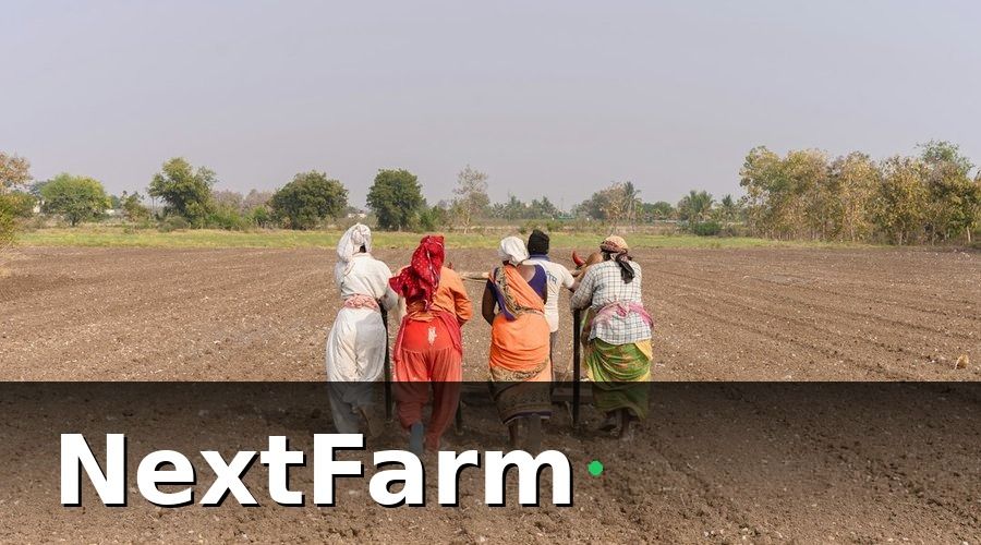 NextFarm — Lộ trình triển khai 6 tháng — Chia theo giai đoạn