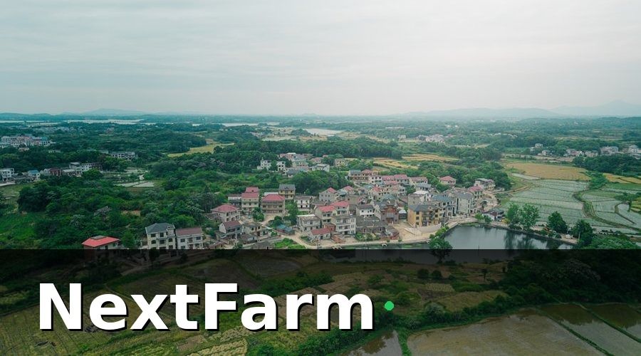 NextFarm — Bối cảnh: Chuỗi lúa nước 5 tỉnh và bài toán quản lý phân tán