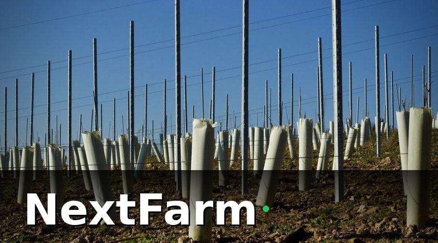 NextFarm — Giải pháp: Triển khai NextFarm trên toàn chuỗi 5 tỉnh