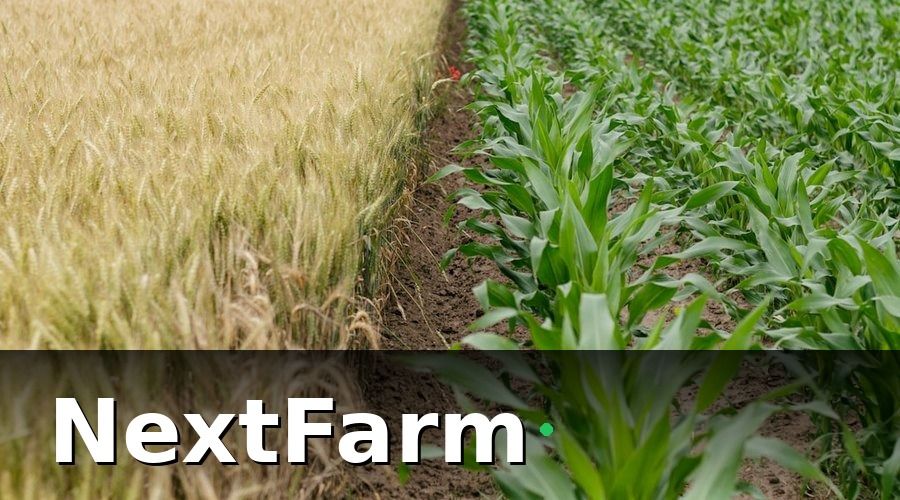 NextFarm — Kết quả sau 6 tháng vận hành