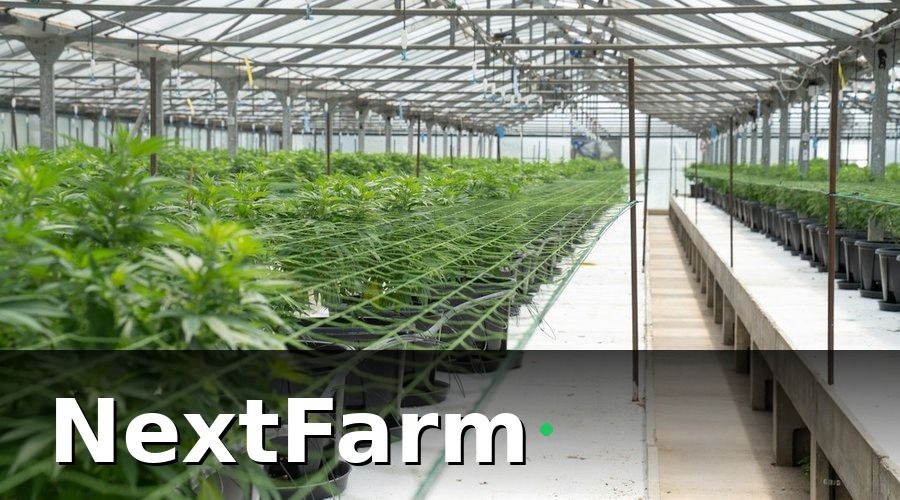 NextFarm — Triển khai IoT và AI trên quy mô chuỗi