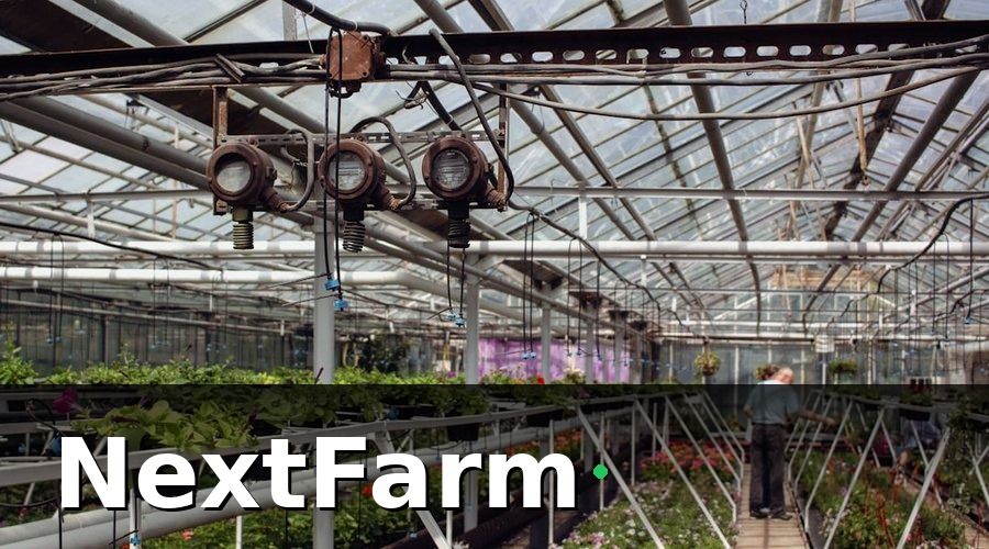 NextFarm — Bức tranh ban đầu: 5 tỉnh, 5 cách làm khác nhau
