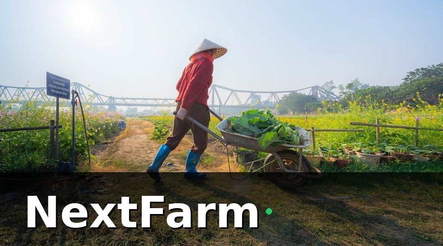 NextFarm — Kết quả sau 6 tháng vận hành
