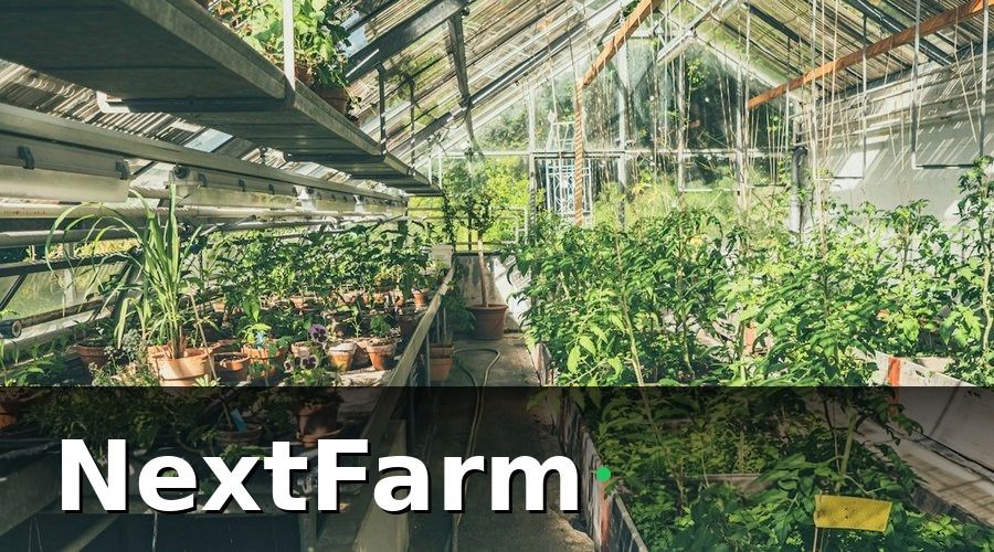 NextFarm — Giai đoạn triển khai 4 tháng đầu tiên