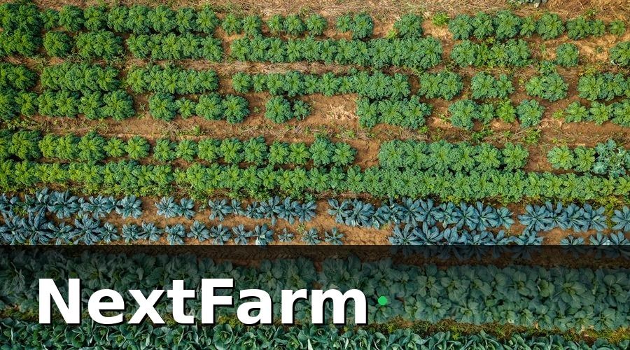 NextFarm — Bức tranh ban đầu: 5 tỉnh, 5 cách làm khác nhau