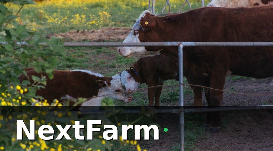 NextFarm — Kết quả sau 6 tháng vận hành