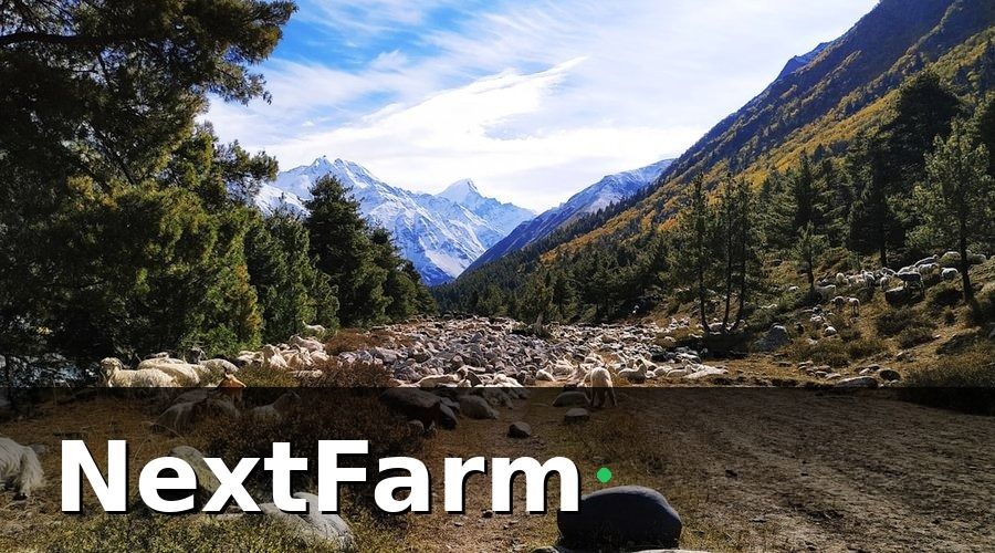NextFarm — Bối cảnh: Khi quy mô vượt quá sức kiểm soát thủ công