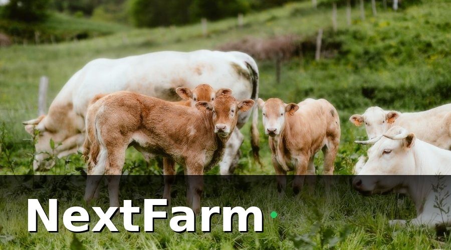 NextFarm — Kết quả sau 8 tháng vận hành