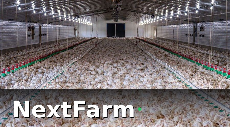NextFarm — Bối Cảnh: Chuỗi 5 Trang Trại, 5 Tỉnh, 1 Bộ Máy Quản Lý