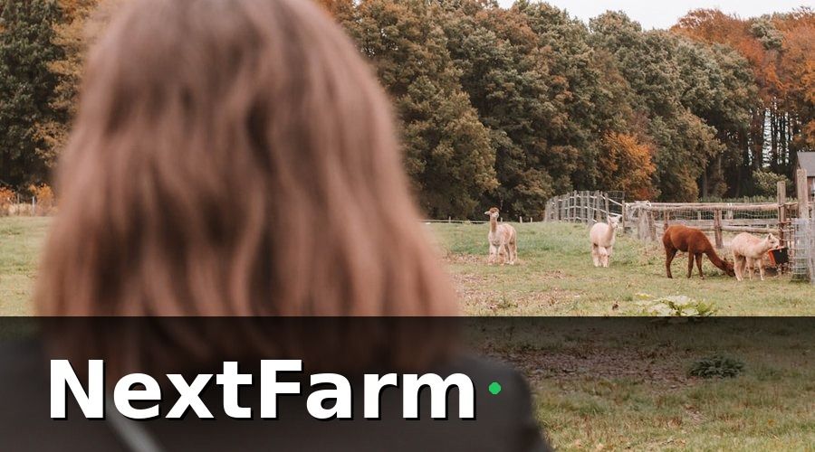 NextFarm — Bài toán cụ thể cần giải quyết