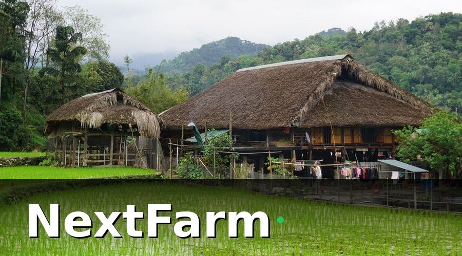 NextFarm — Bức tranh trước khi số hóa: 5 tỉnh, 5 cách làm khác nhau