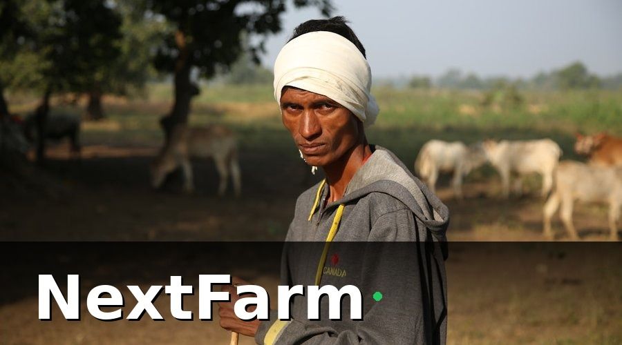 NextFarm — Quyết định chuyển đổi: chọn nền tảng quản lý tập trung