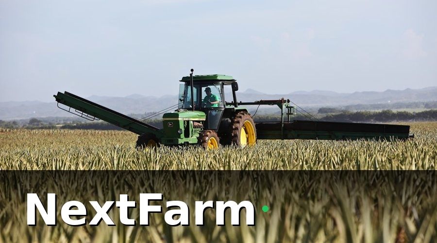 NextFarm — Triển khai thực tế: 3 giai đoạn trong 8 tuần