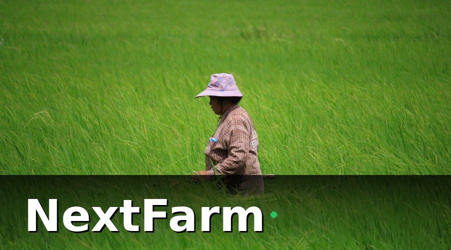 NextFarm — Tiêu chí lựa chọn nền tảng