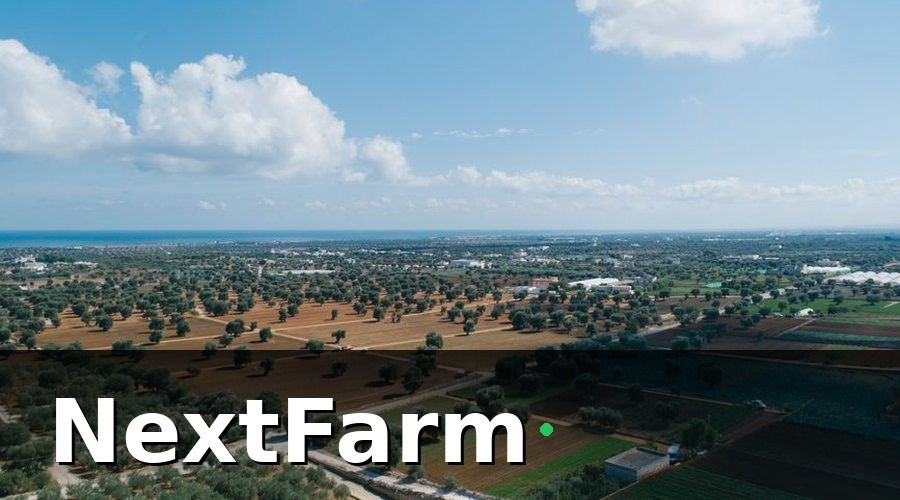 NextFarm — Bức tranh trước khi chuyển đổi số