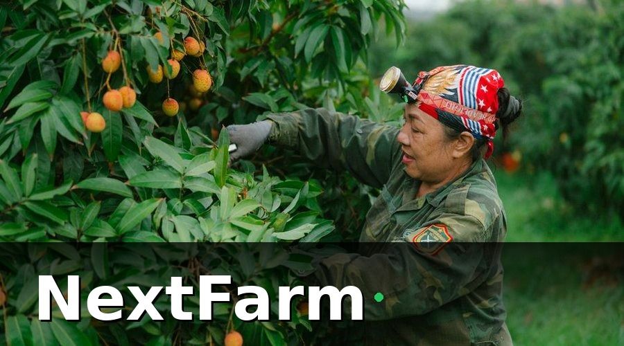 NextFarm — Kết quả sau 6 tháng vận hành