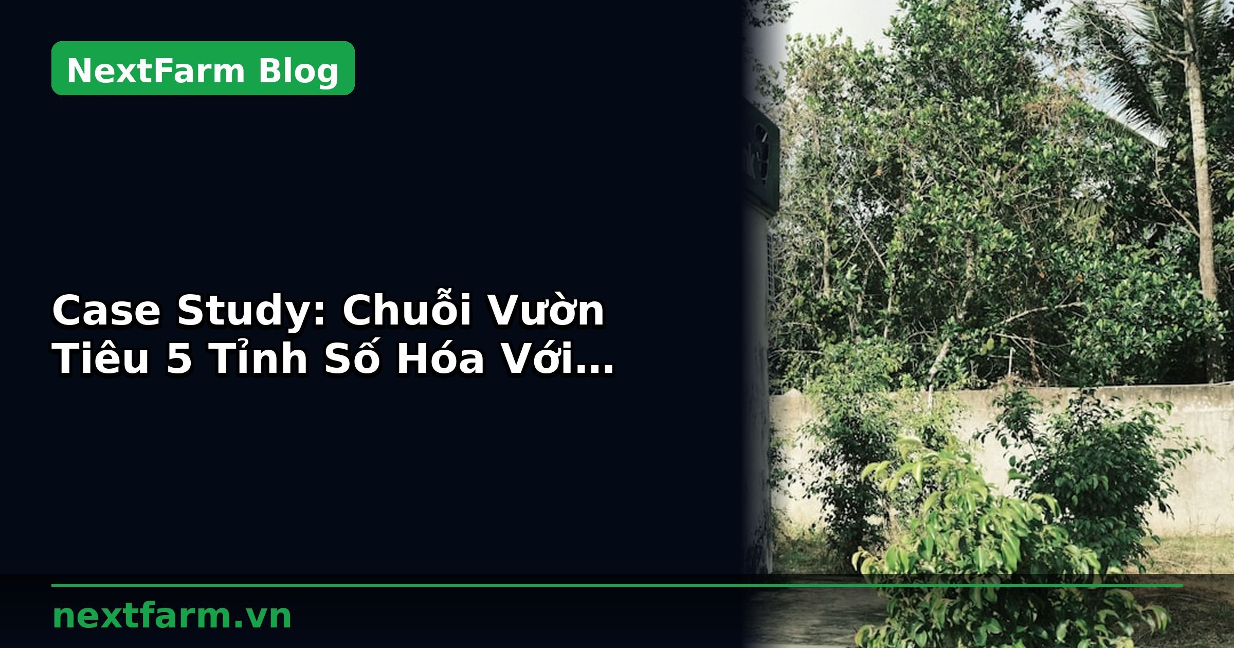 Case Study: Chuỗi Vườn Tiêu 5 Tỉnh Số Hóa Với NextFarm | NextFarm