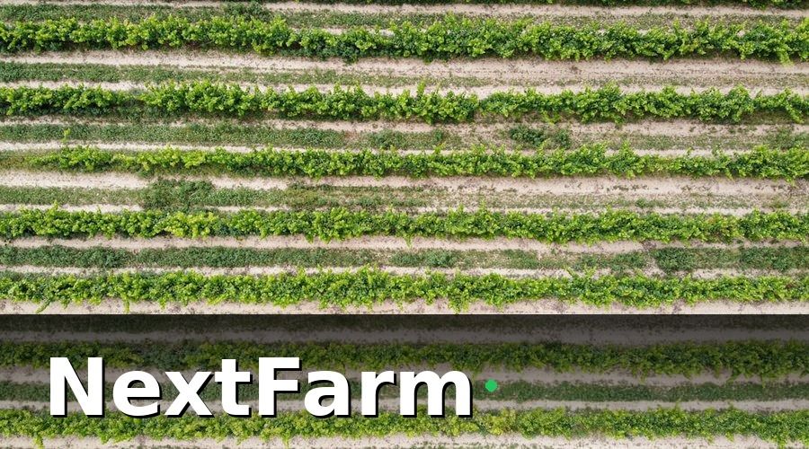 NextFarm — Bối cảnh: Chuỗi vườn tiêu phân tán, quản lý rời rạc