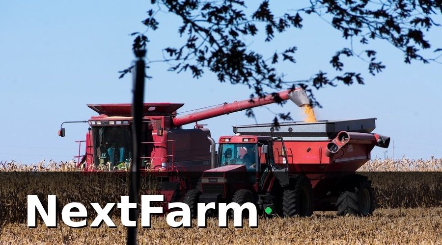 NextFarm — Timeline triển khai và kết quả từng giai đoạn