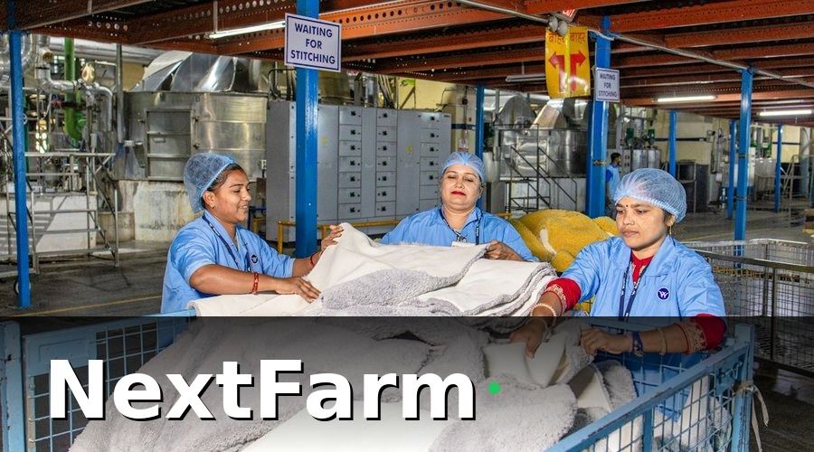 NextFarm — Bối cảnh: Cơ sở chế biến rau củ đứng trước ngưỡng cửa HACCP
