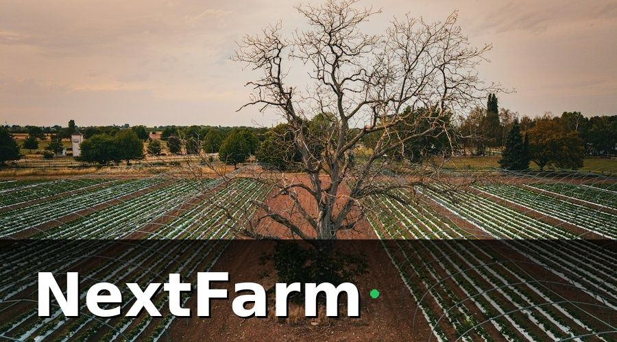 NextFarm — Giải pháp: hệ thống tưới tự động tích hợp IoT