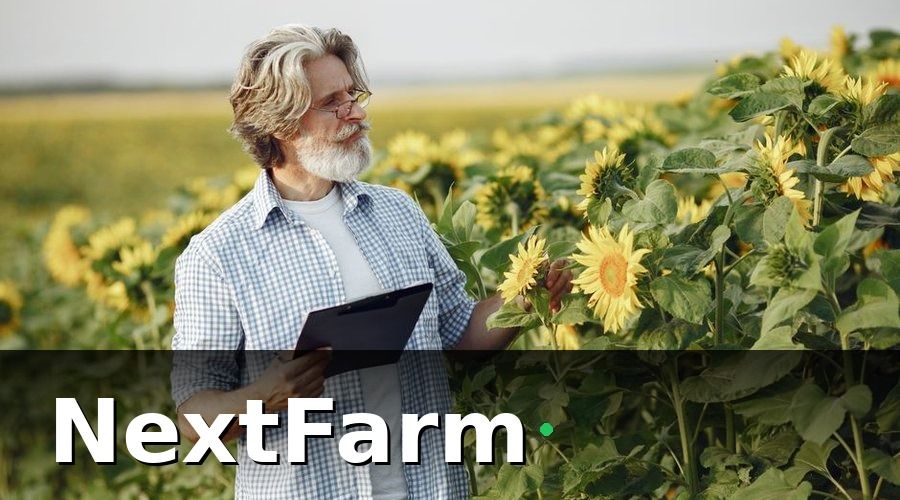 NextFarm — Triển khai và kết quả sau 6 tháng