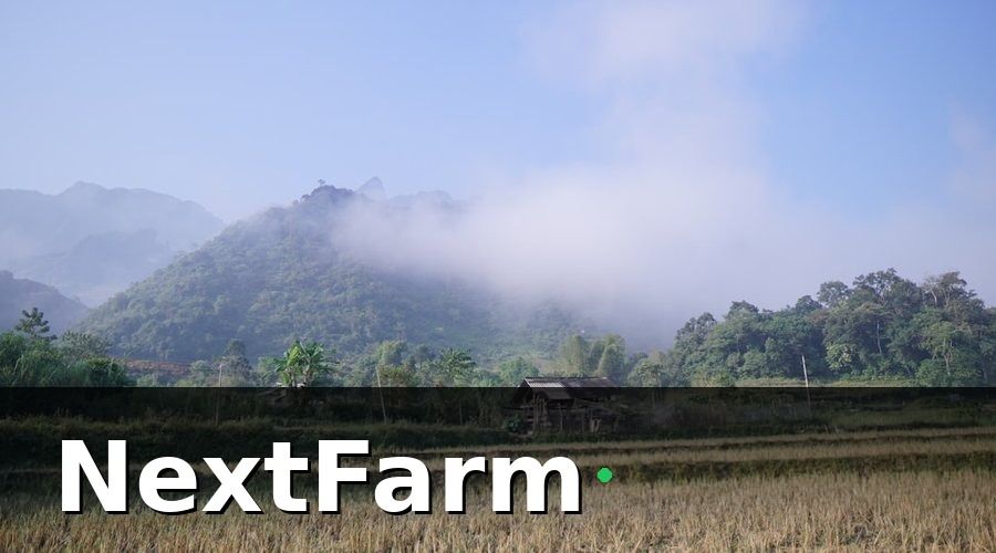 NextFarm — Bối Cảnh: 50 Xã Viên, 1 Bộ Máy Quản Lý Thủ Công
