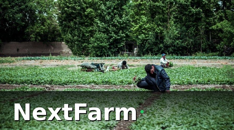 NextFarm — Quá Trình Triển Khai: Từ Thử Nghiệm Đến Nhân Rộng