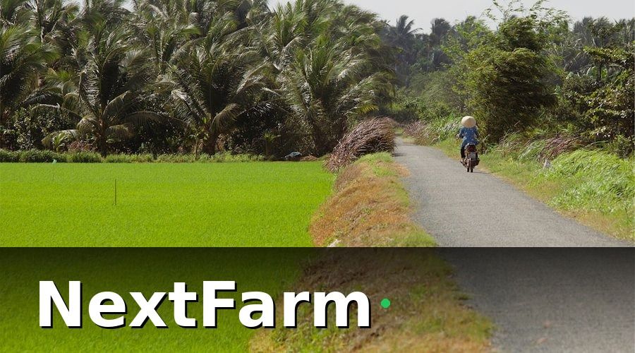 NextFarm — Bối Cảnh: HTX Lúa ĐBSCL Và Áp Lực VietGAP